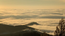 Miskolc