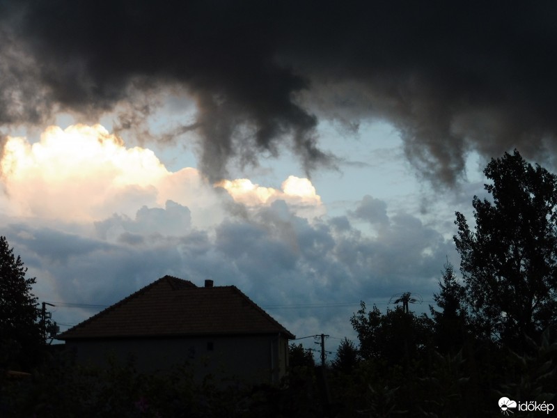 Szár