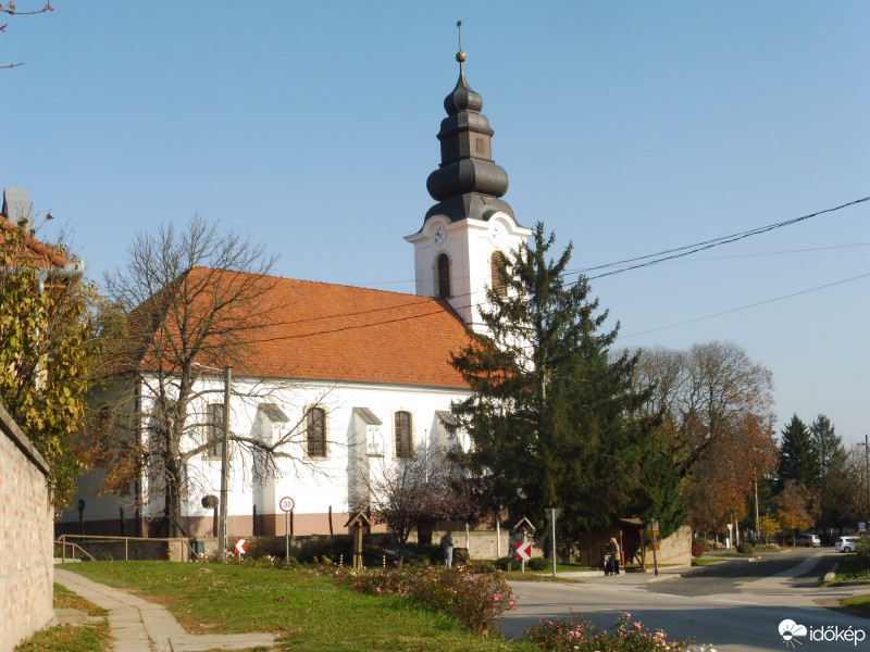 Szár