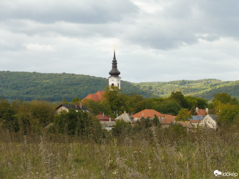 Szár