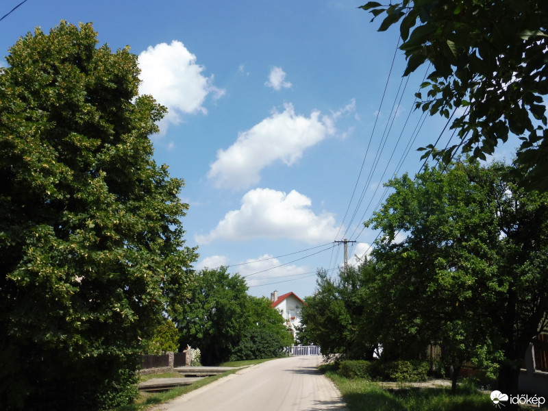 Szár