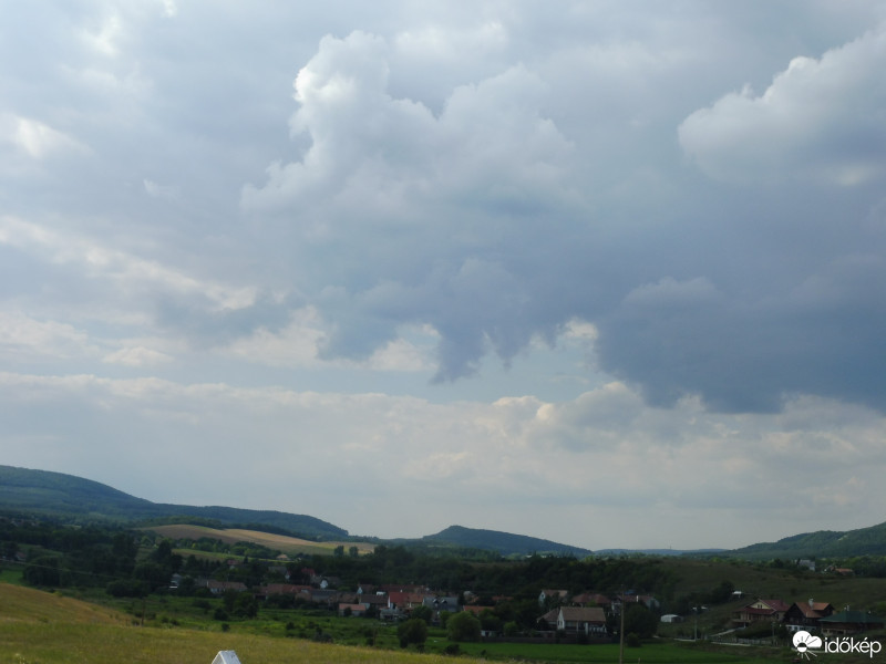 Szár