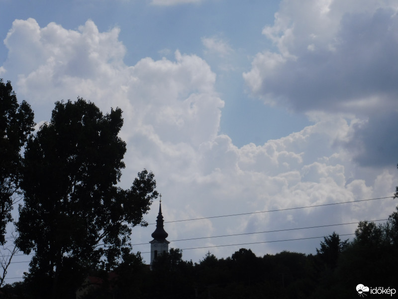 Szár