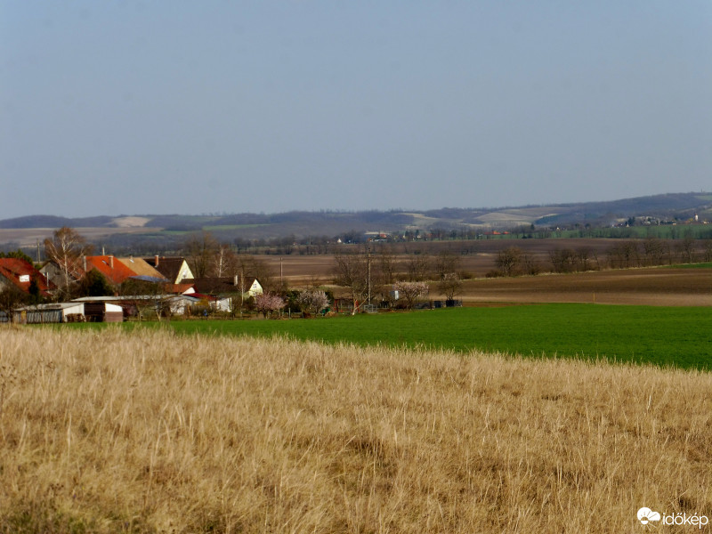 Szár