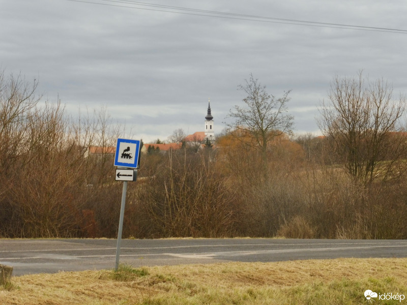 Szár