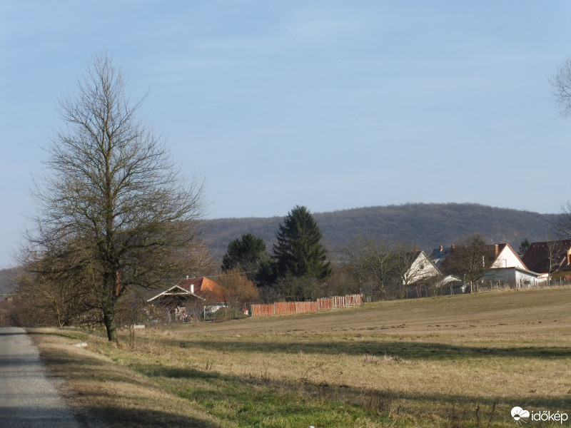 Szár
