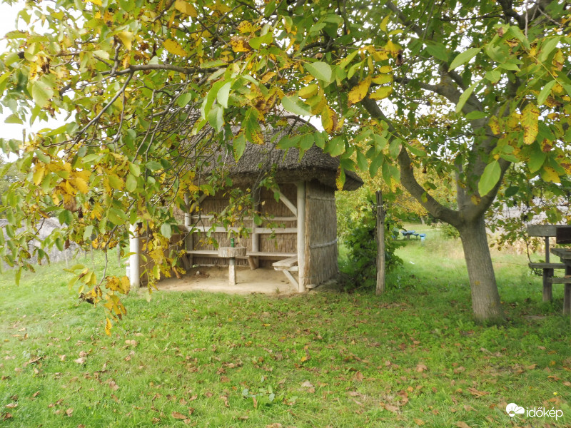 Csak a lehulló dió kopogása zavarja meg néha a csendet