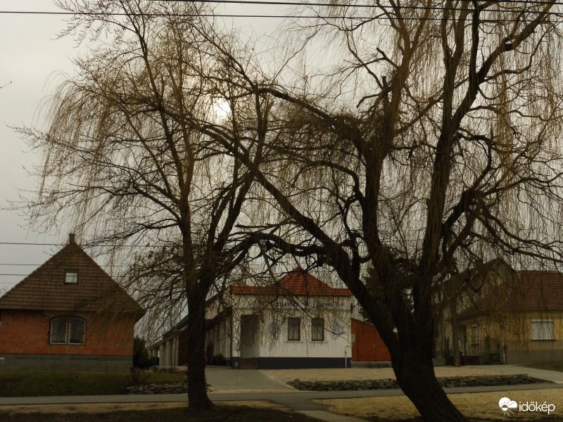 Kis időre fennakadt az ágakon, majd szépen lebukott 