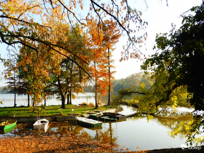 Ladikok parkolója