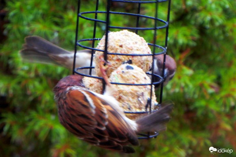 Gyorsabban! Forgassuk!