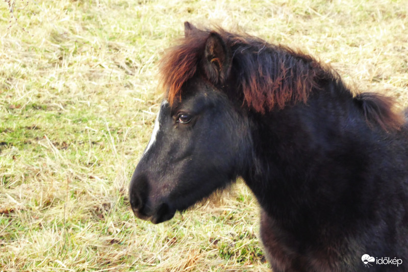 Fodrásztól jövök, remélem tetszem Nektek is