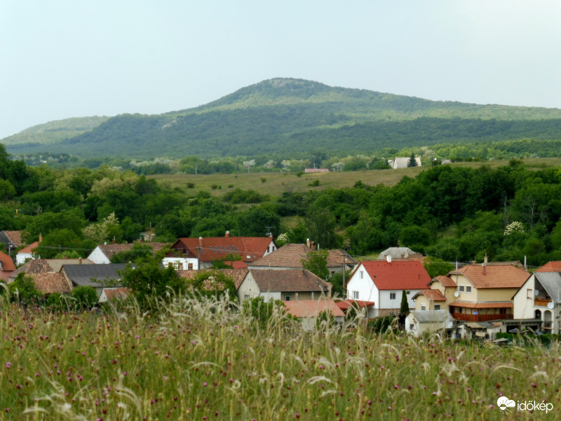 Árvalányhajas szári táj