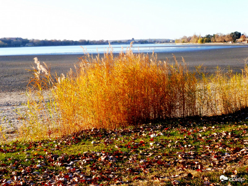 Tóparti naplemente