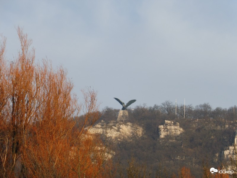 Turul