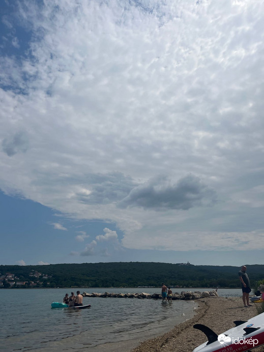 Cizici