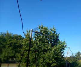 Homorúd