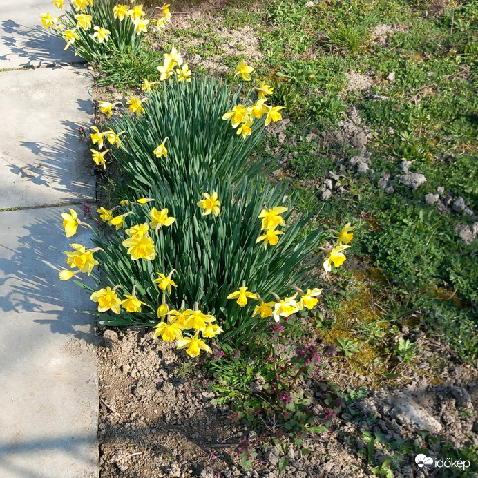 Itt a tavasz