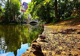 Pihenő