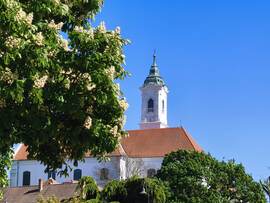 Vác