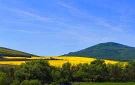 Rád