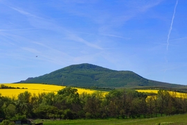 Rád