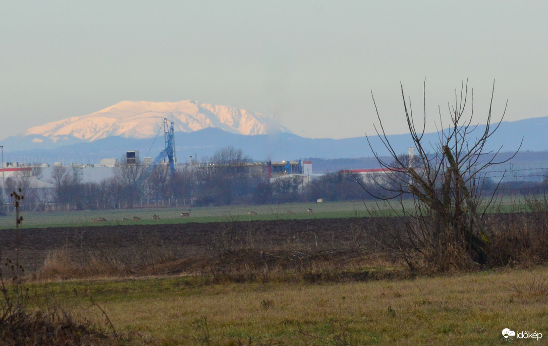Schneeberg