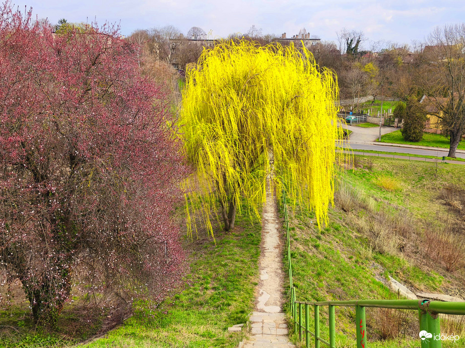Vác