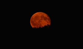 Vác
