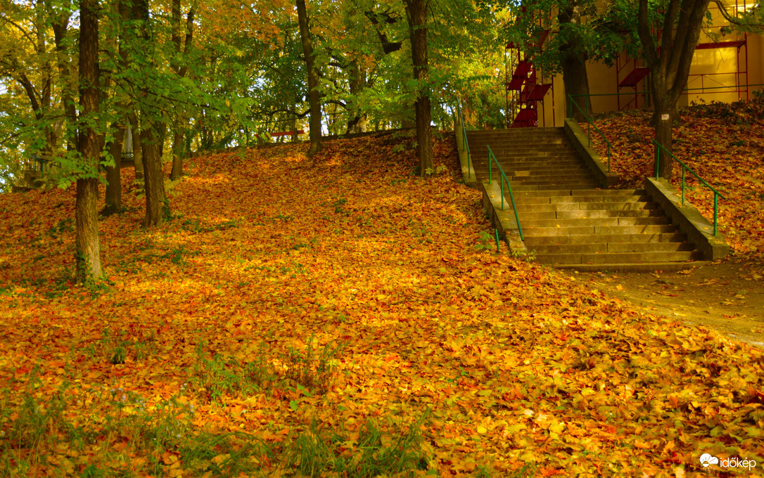 Vác