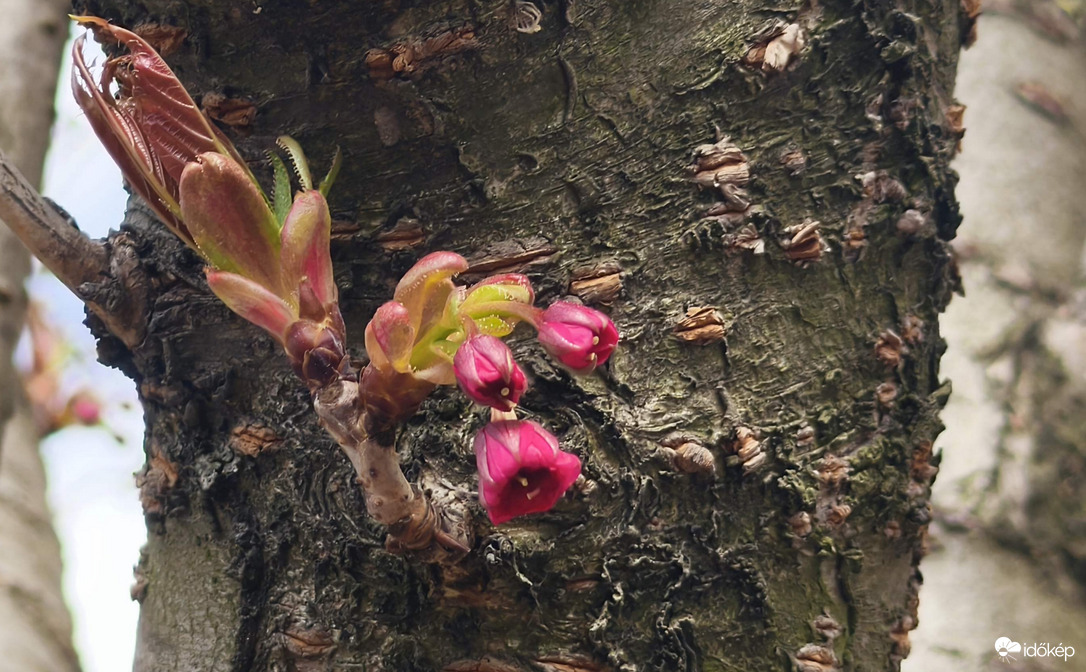 Lassan, de biztosan kezdődik!