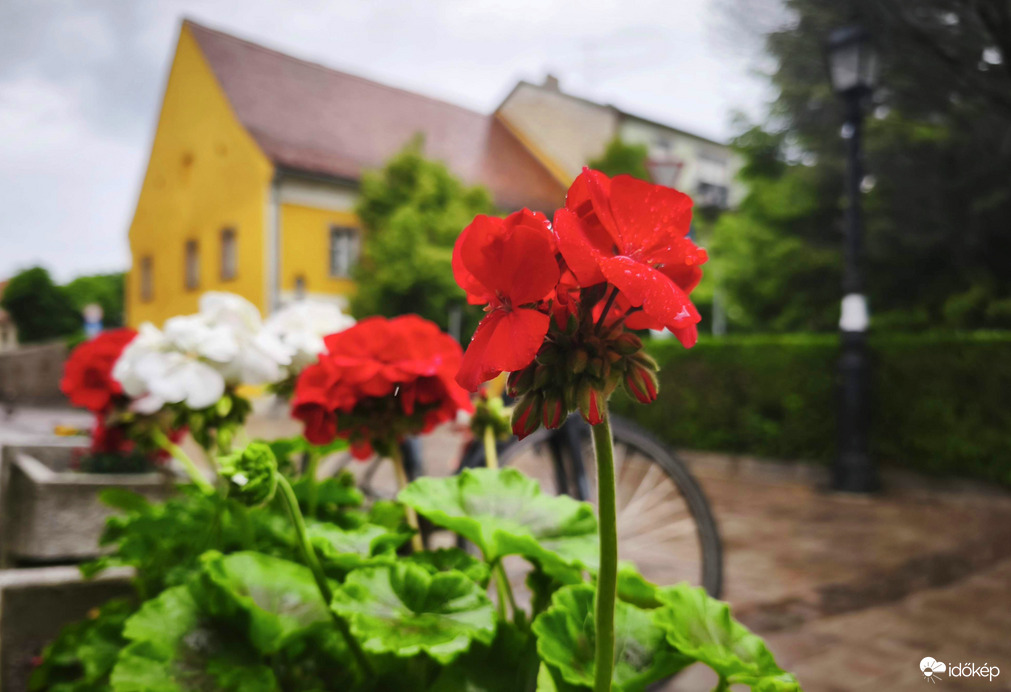 Vác