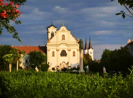 Vác