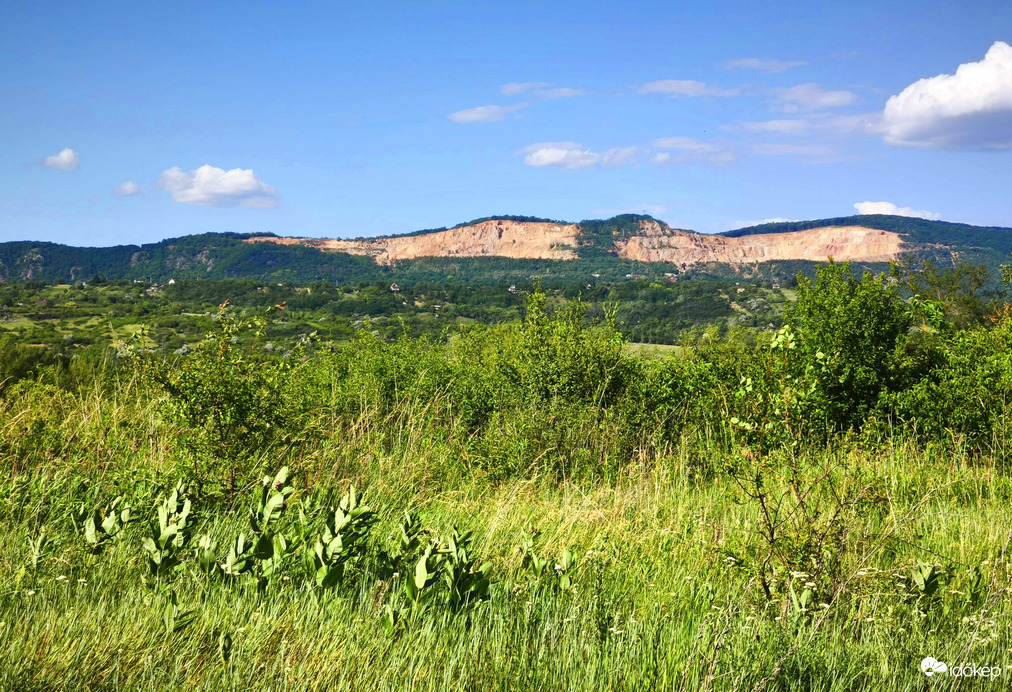 Vác