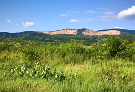 Vác