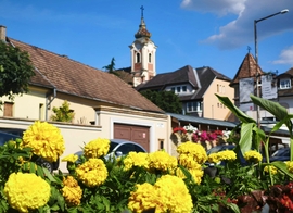 Vác