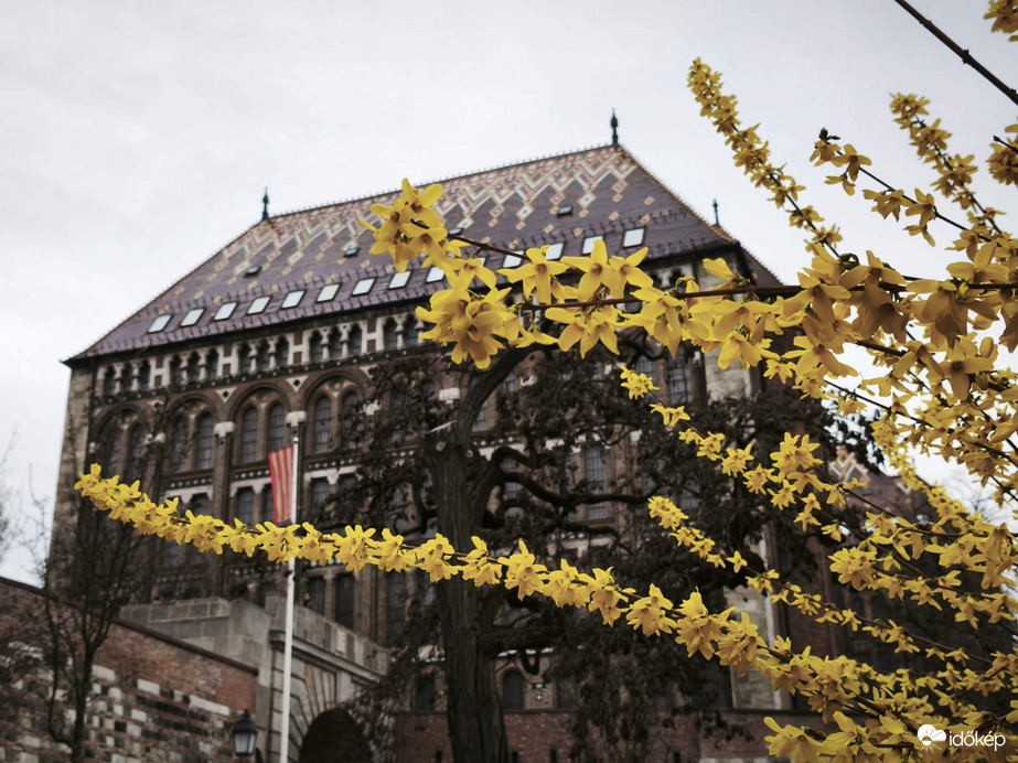 Budapest