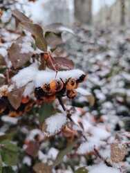 Budapest XV.ker - Újpalota