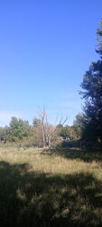 Sárkeresztes