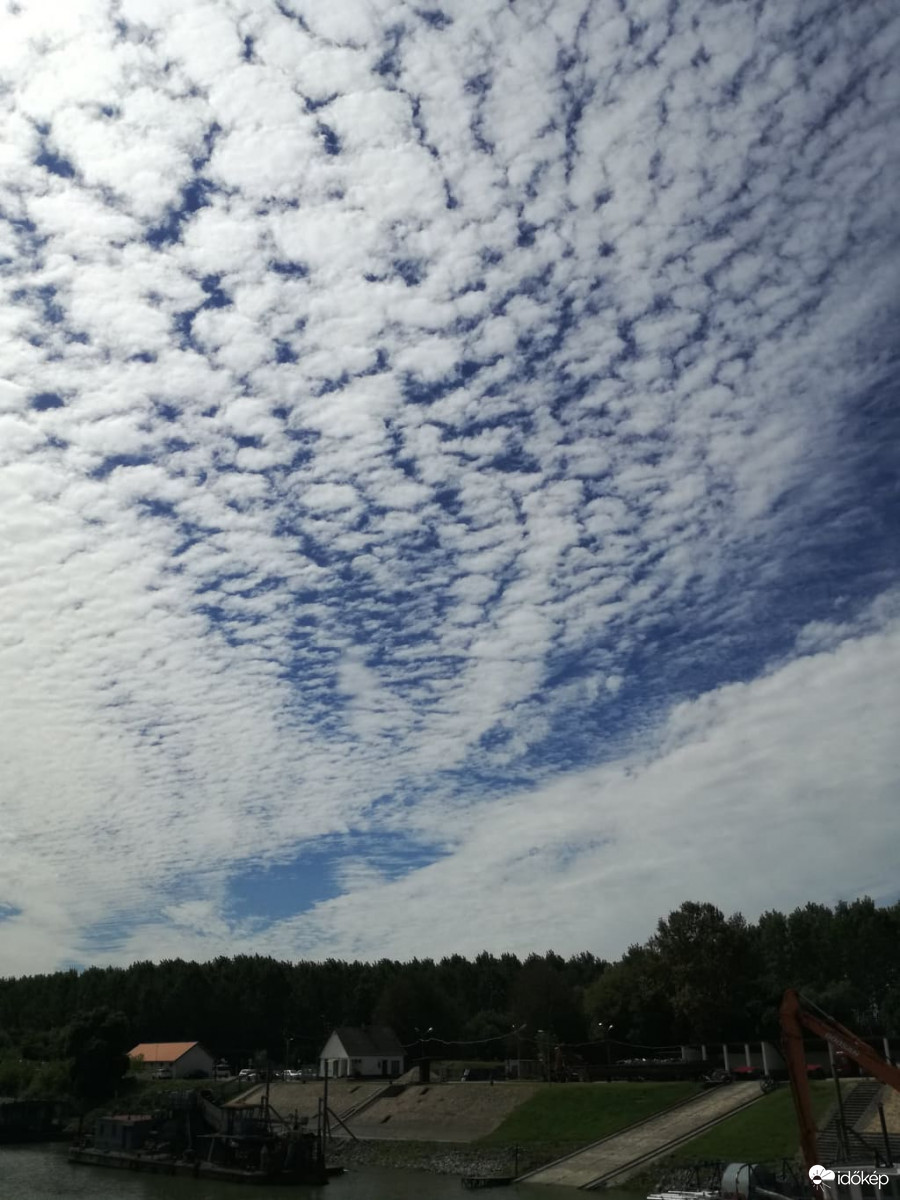 09.03,BAJA