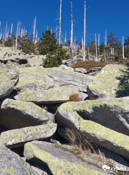 steinernes meer plöckenstein