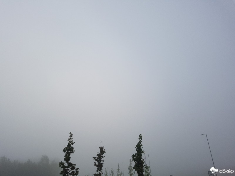 Nyírtelek