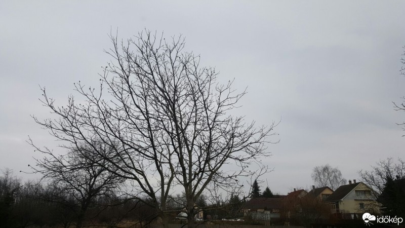 Kótaj