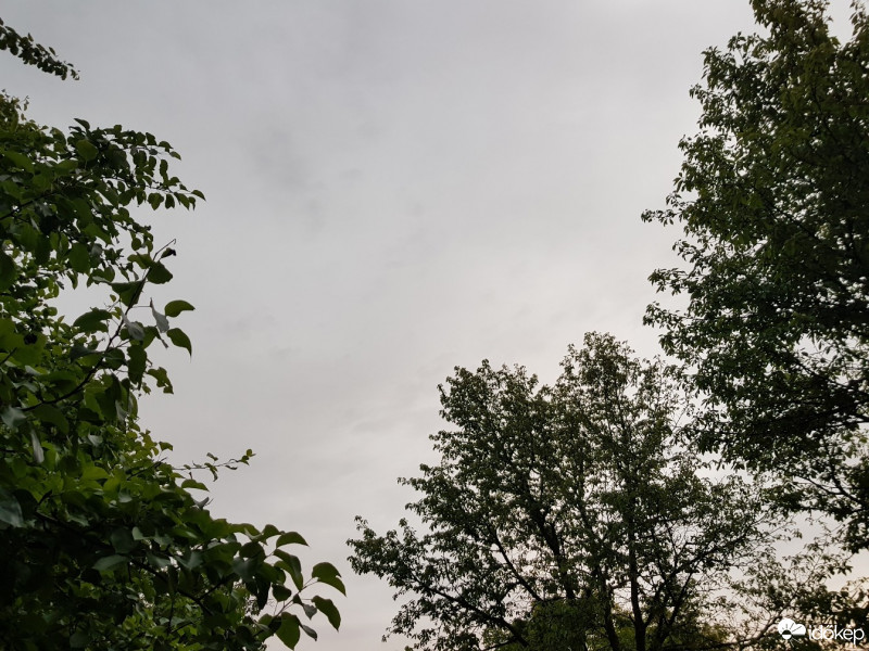 Nyíregyháza