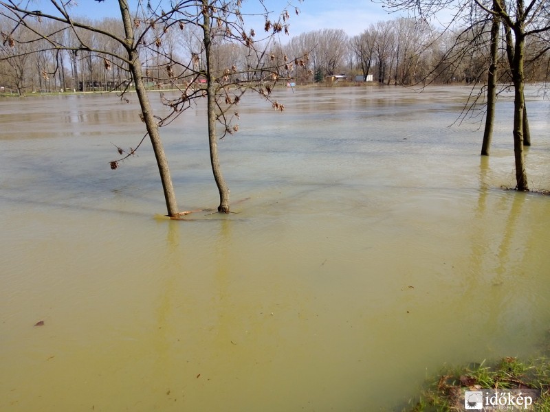 Tokaj Tisza
