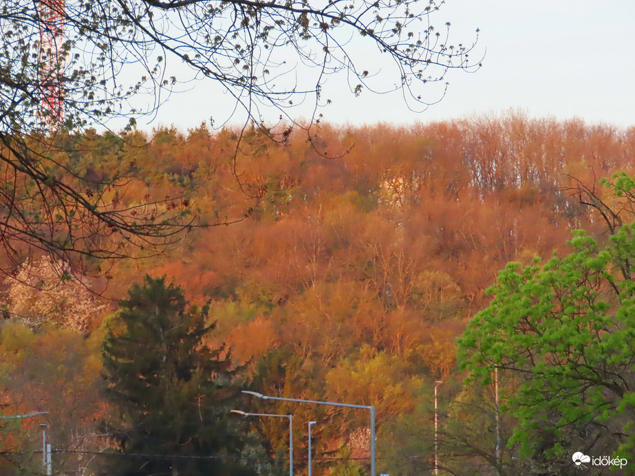 Domboldal a napkelte fényében