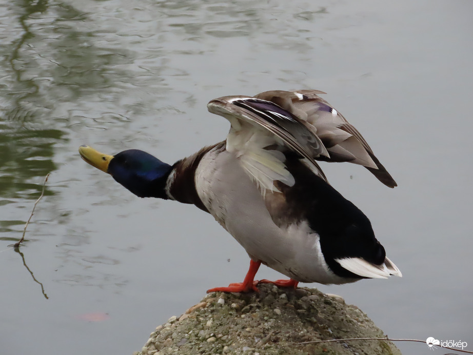 Egy kis mozgás nem árt!
