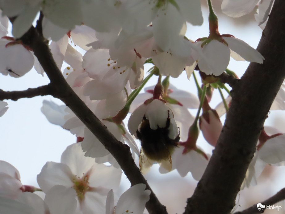 Jól megkapaszkodtam!