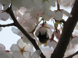 Jól megkapaszkodtam!