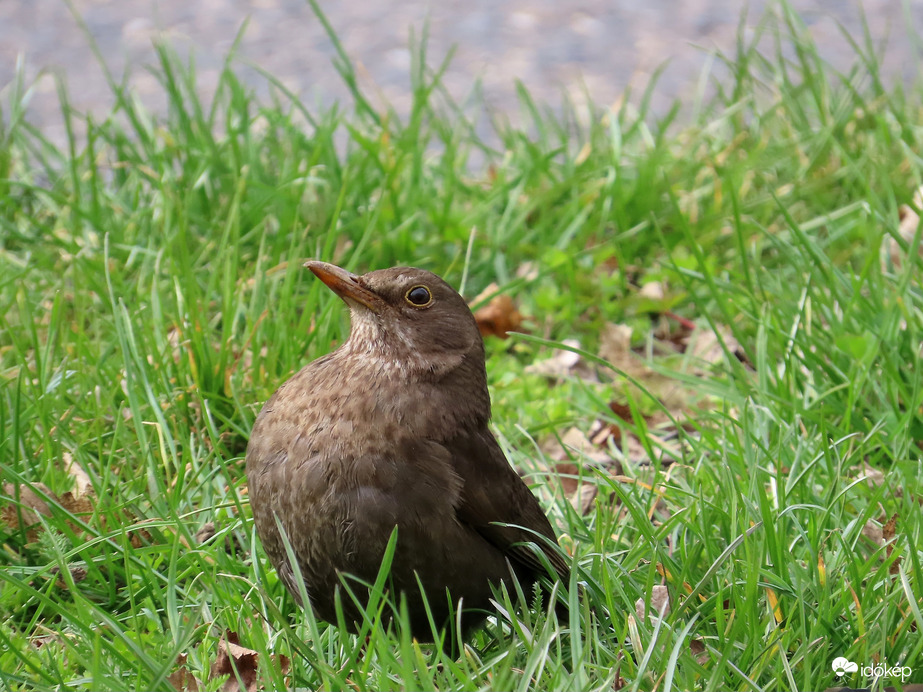 Várom a napsütést!