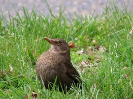 Várom a napsütést!